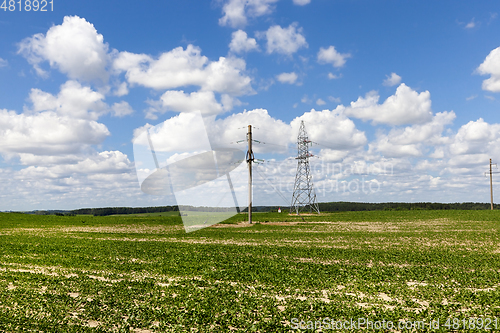 Image of Summertime landscape