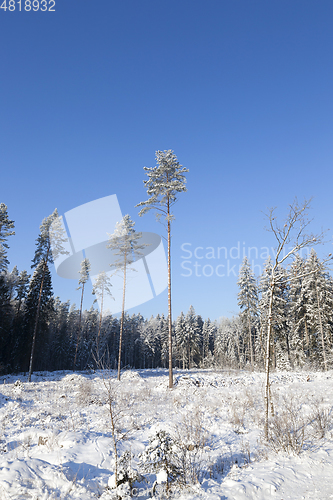 Image of Snow drifts in winter