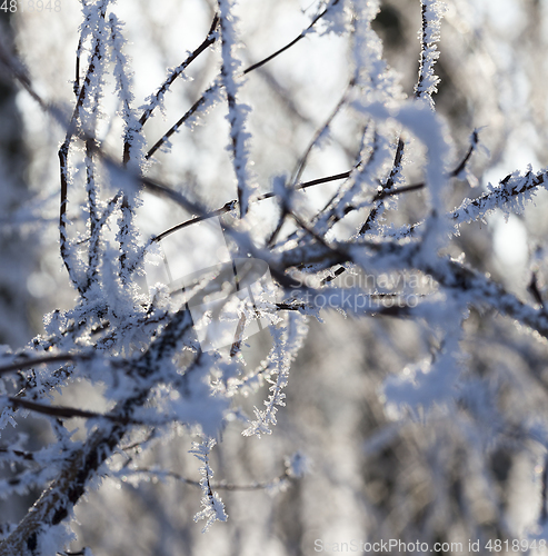 Image of Winter time of the year