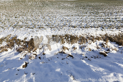 Image of Snow drifts in winter