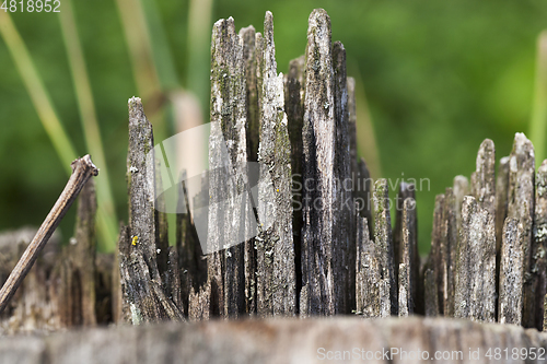 Image of Old broken trunk