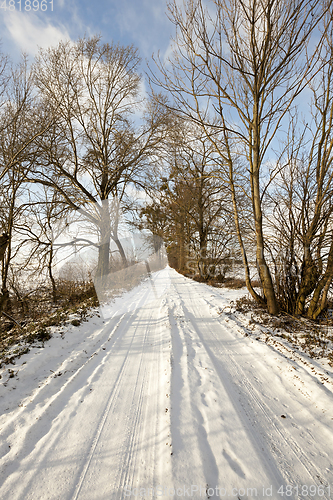 Image of The road in winter