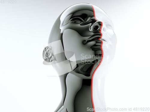 Image of human head separated by red line as symbol of balance and divers