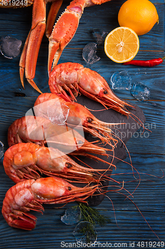Image of Closeup of far eastern botan shrimp