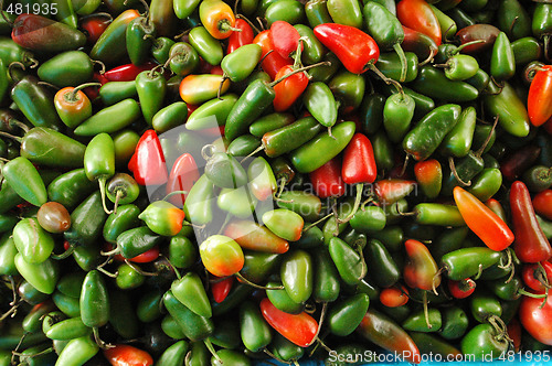 Image of Peppers
