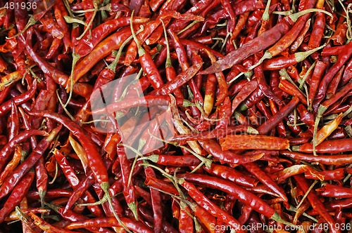Image of Peppers