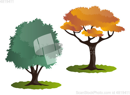 Image of Two autumn tree vector illustration on white background