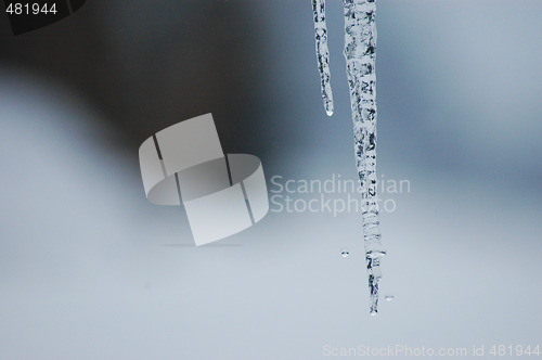 Image of Icicle