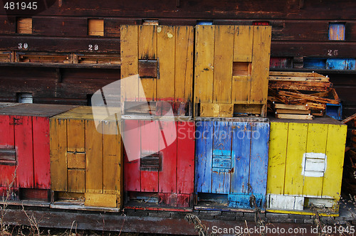 Image of Hives