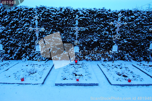 Image of Graves