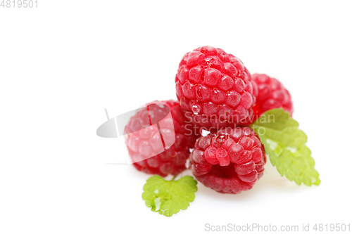 Image of raspberry berries isolated on white