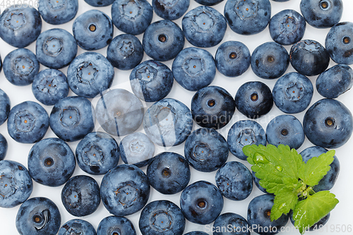 Image of blueberry berries isolated on white background