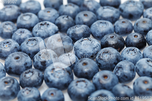 Image of blueberry berries isolated on white background