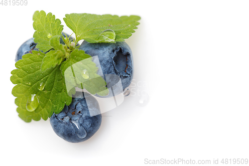 Image of blueberry berries isolated on white background