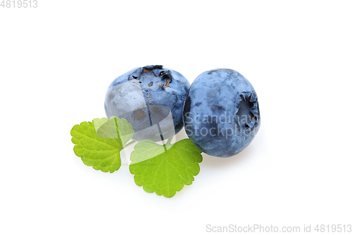 Image of blueberry berries isolated on white background