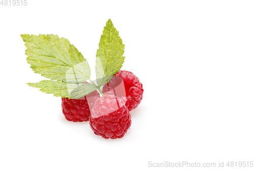 Image of raspberry berries isolated on white