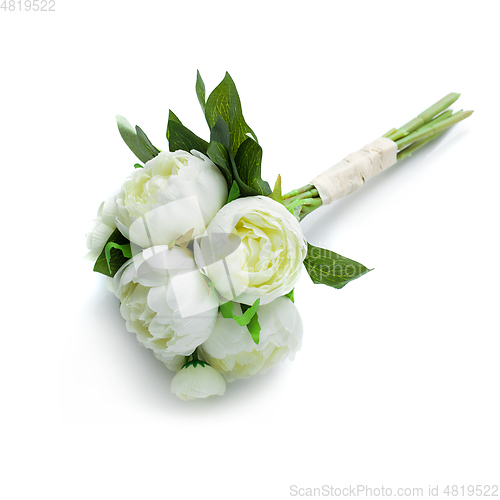 Image of peony flowers isolated on white