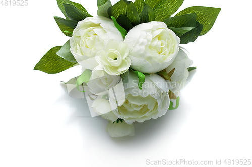 Image of peony flowers isolated on white