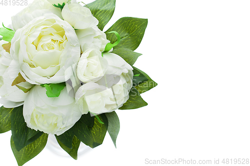 Image of peony flowers isolated on white