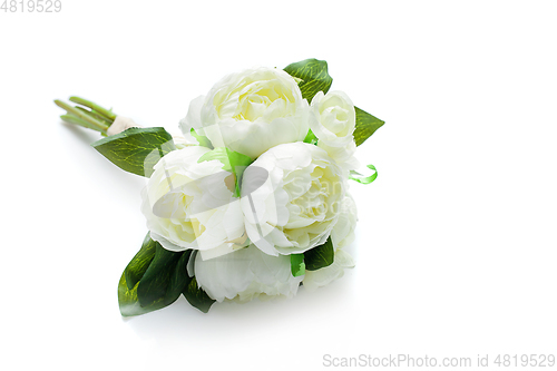 Image of peony flowers isolated on white