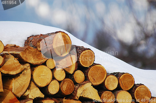 Image of Woodpile