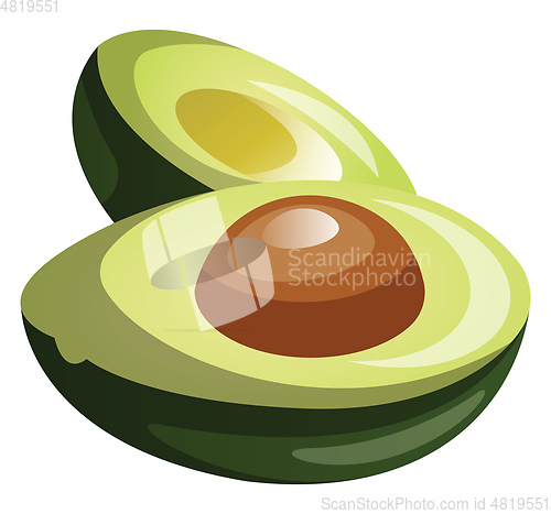 Image of Green avocado cut in half cartoon fruit vector illustration on w