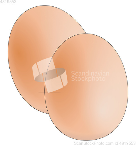 Image of Farm fresh eggs vector or color illustration