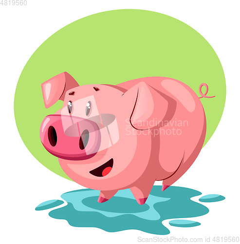 Image of Pink pig, vector color illustration.