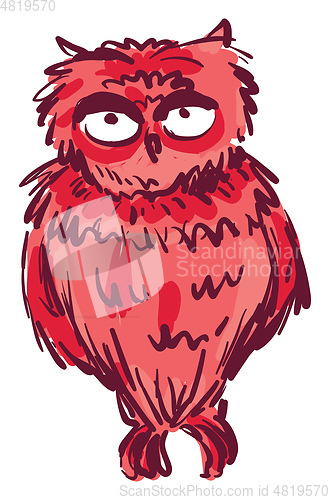 Image of A red owl vector or color illustration