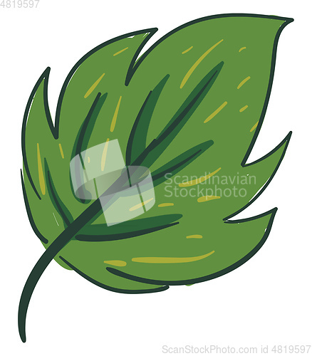 Image of Clipart of an ovate green leaf with a margin small yellow lines 