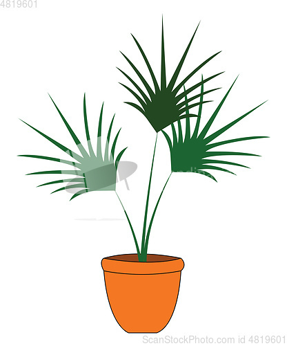 Image of Green palm tree in orange flowerpot vector illustration on white