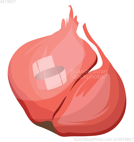 Image of Dark pink shallots vector illustration of vegetables on white ba