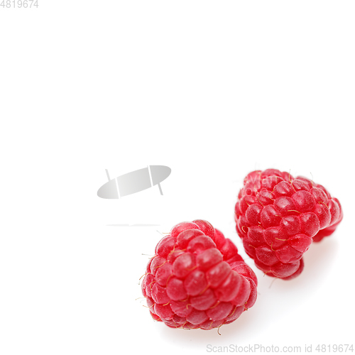 Image of raspberry berries isolated on white