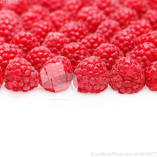 Image of many raspberry berries isolated on white
