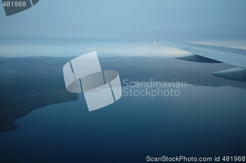 Image of Wing