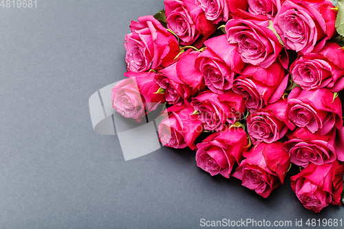 Image of pink roses isolated on white