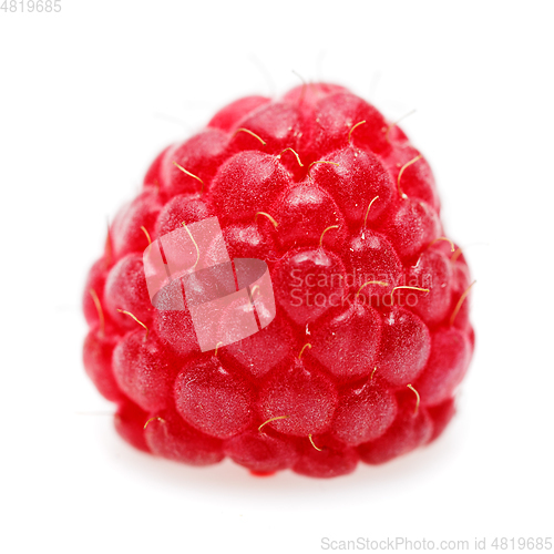 Image of raspberry berry macro shot isolated on white