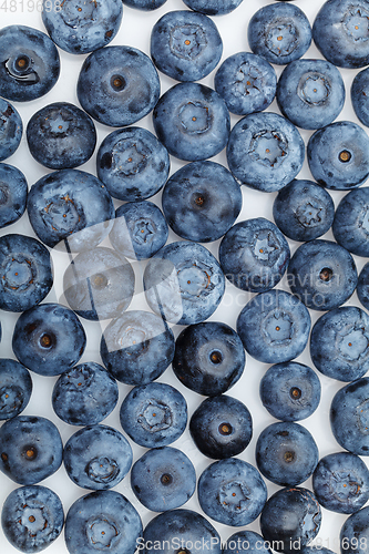 Image of blueberry berries isolated on white background