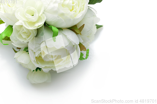 Image of peony flowers isolated on white