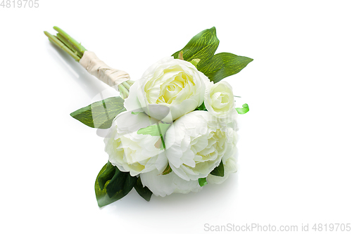 Image of peony flowers isolated on white