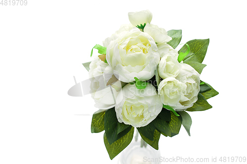 Image of peony flowers isolated on white