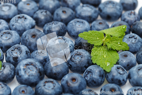 Image of blueberry berries isolated on white background