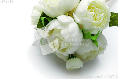 Image of peony flowers isolated on white