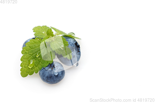 Image of blueberry berries isolated on white background