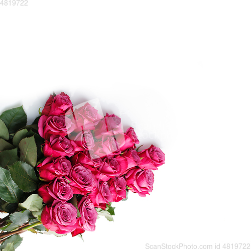 Image of pink roses isolated on white