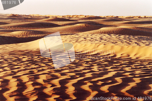 Image of Desert