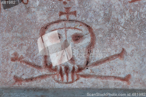 Image of Skull