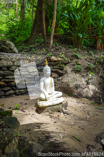 Image of Buddha statue in jungle, Wat Palad, Chiang Mai, Thailand