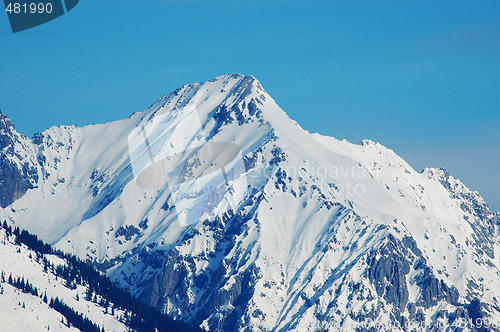 Image of Mountain