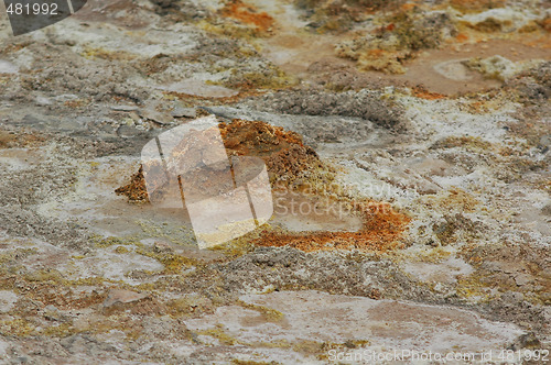 Image of Salt